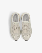 PREMIATA BETHCOIN 8171