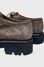 STORIES  caccia alla volpe