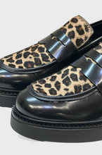 Alan Jurno paris   7709 mocassino