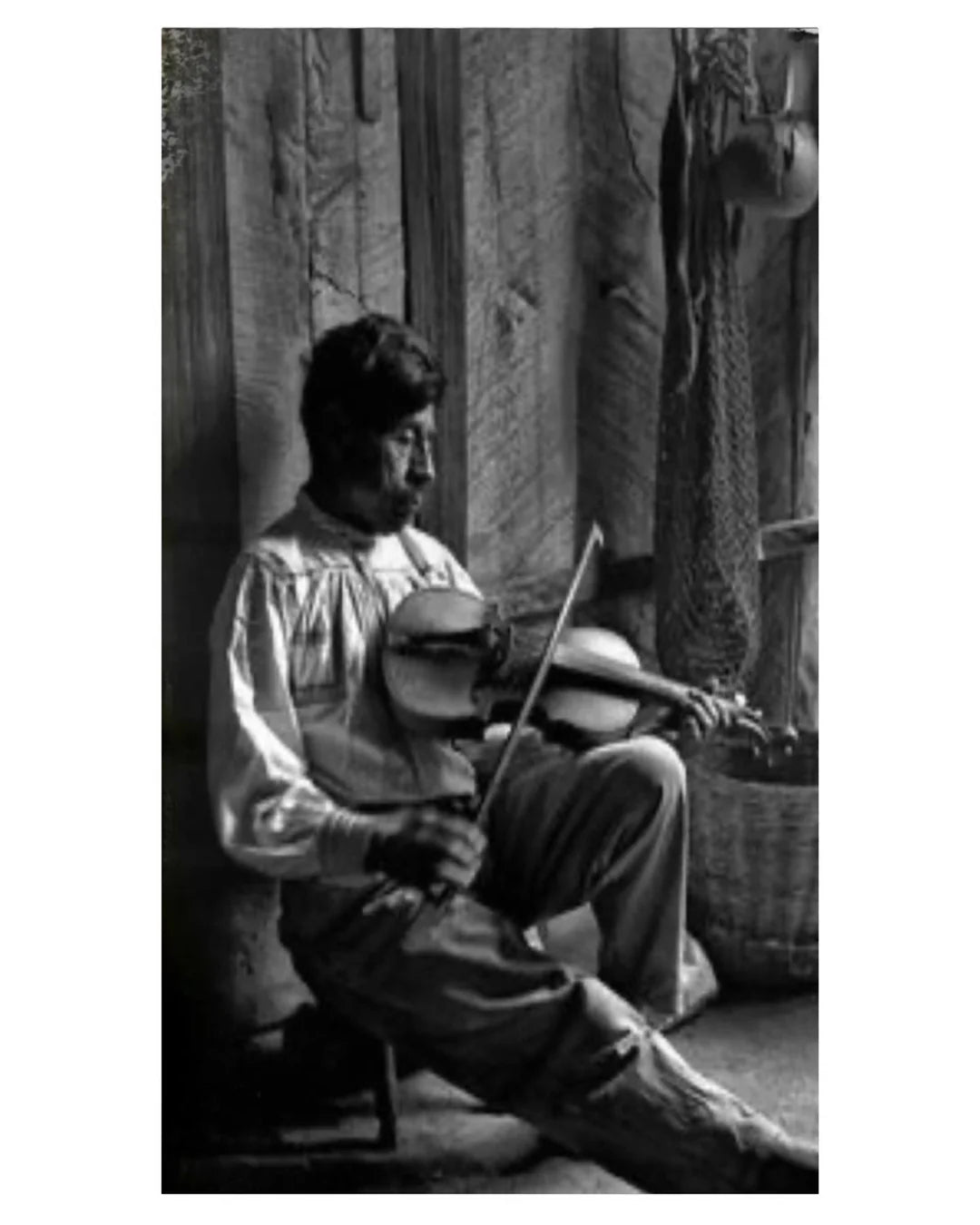 OPERA PRIMA PROFUMI   IL VIOLINO NERO